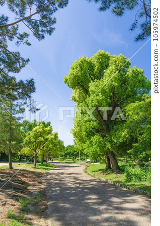 大阪府豐中市服部綠地公園綠意盎然的公園景色 大阪府豐中市服部綠地公園綠意盎然的公園景色 105974502