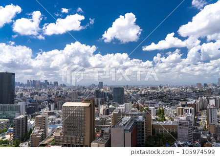 << Tokyo >> Tokyo cityscape in the summer sky 105974599