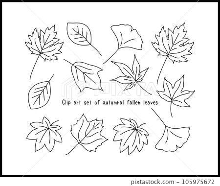 Line drawing illustration set of fallen leaves with autumn leaves Ginkgo, maple, oak, maple leaf, platanus, maple 105975672