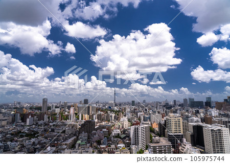 "Tokyo" Sky Tree and Tokyo cityscape in the summer sky 105975744