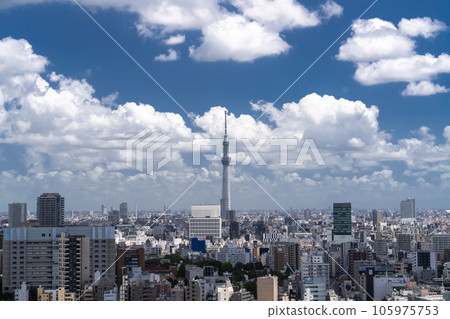 夏日天空中的“東京”天空樹和東京城市景觀 105975753