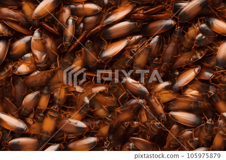 seamless texture and background of pile of cockroaches, neural network generated photorealistic image seamless texture and background of pile of cockroaches, neural network generated photorealistic image 105975879