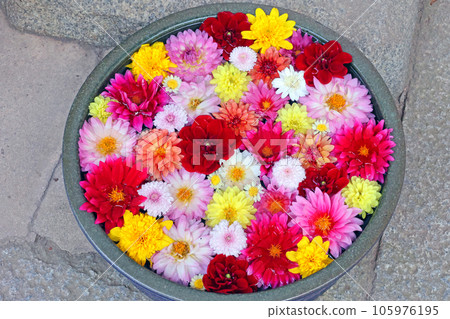 Hand water flower Hand water flower 105976195