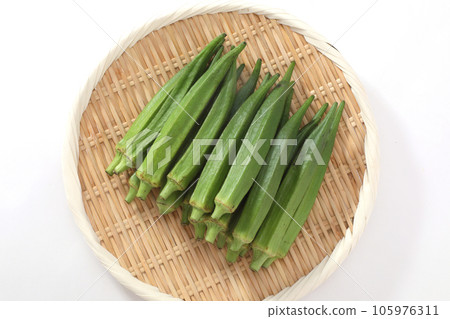 Okra 105976311