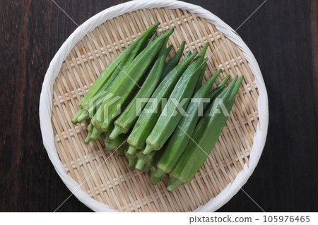 黃秋葵 黃秋葵 105976465