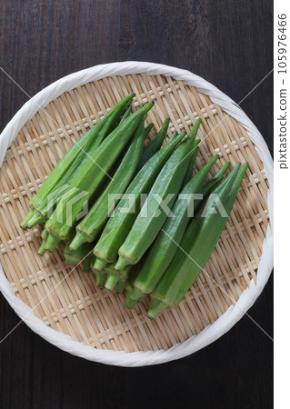 黃秋葵 105976466