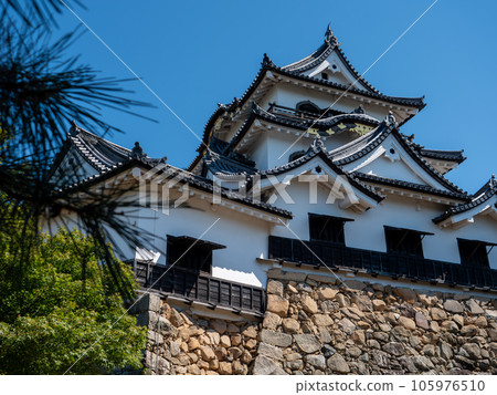 Hikone Castle tower in summer Hikone City, Shiga Prefecture 105976510