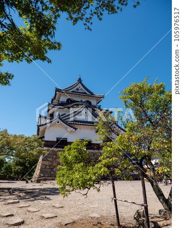 Hikone Castle tower in summer Hikone City, Shiga Prefecture 105976517