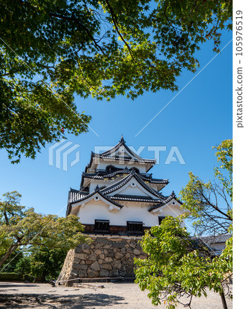Hikone Castle tower in summer Hikone City, Shiga Prefecture 105976519