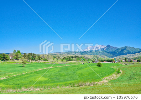 [Hiruzen Plateau (Mikigahara)] Hiruzen Kamifukuda, Maniwa City, Okayama Prefecture 105976576