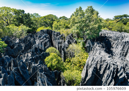 Petit Tsingy de Bemaraha, Madagascar wilderness landscape Petit Tsingy de Bemaraha, Madagascar wilderness landscape 105976609