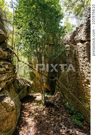Petit Tsingy de Bemaraha, amazing landscape, Madagascar wilderness landscape Petit Tsingy de Bemaraha, amazing landscape, Madagascar wilderness landscape 105976610