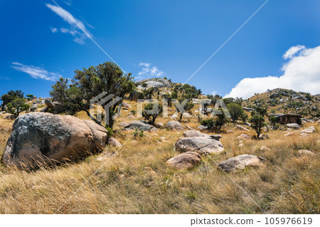 Andringitra national park,mountain landscape, Madagascar wilderness landscape 105976619