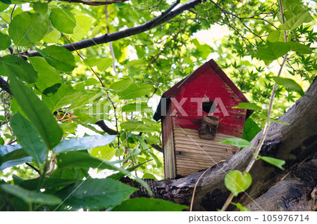 bird box bird box 105976714