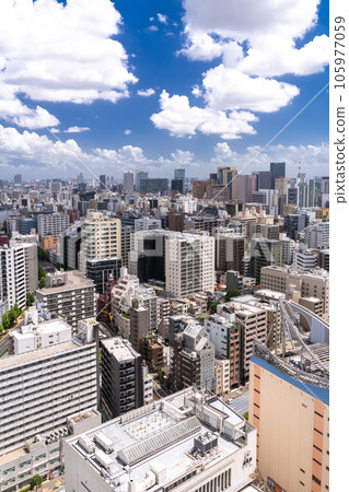 《東京》夏日的天空中的東京城市景觀 105977059
