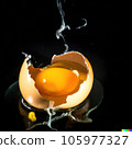 Exploding single egg with brown shell on black background Exploding single egg with brown shell on black background 105977327