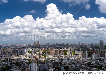 《東京》夏日的天空中的東京城市景觀 105977417