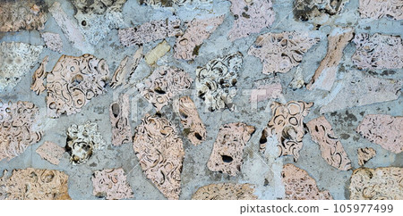 A gray city wall made of limestone and shell rock. Finishing building materials A gray city wall made of limestone and shell rock. Finishing building materials 105977499