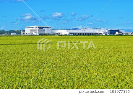 Hokkaido Tobetsu Royce Town Chocolate factory scenery Hokkaido Tobetsu Royce Town Chocolate factory scenery 105977555