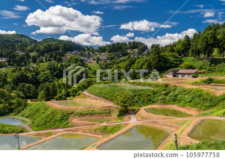 《新潟縣》山越的梯田，夏季梯田的原始景觀 105977758