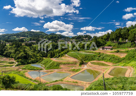 《新潟縣》山越的梯田，夏季梯田的原始景觀 105977759
