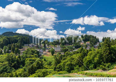 《新潟縣》山越的梯田，夏季梯田的原始景觀 105977761