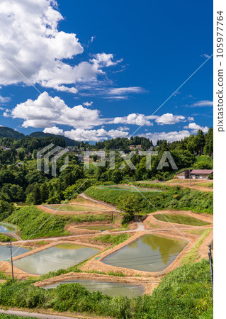 《新潟縣》山越的梯田，夏季梯田的原始景觀 105977764