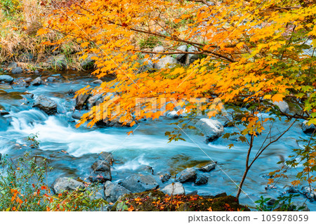 宇觀溪谷紅葉與宇觀川 9 岡山縣加賀郡吉備中央町 105978059