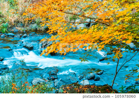 宇觀溪谷紅葉與宇觀川 10 岡山縣加賀郡吉備中央町 宇觀溪谷紅葉與宇觀川 10 岡山縣加賀郡吉備中央町 105978060