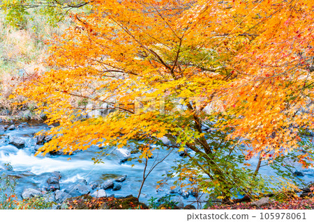 宇觀溪紅葉和宇觀川 岡山縣加賀郡吉備中央町 11 105978061