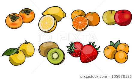 冬天的水果插畫素材 105978185