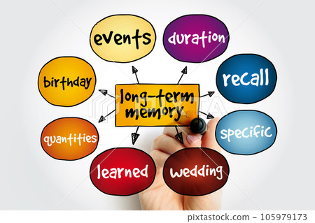 Long-term Memory mind map, concept for presentations and reports Long-term Memory mind map, concept for presentations and reports 105979173
