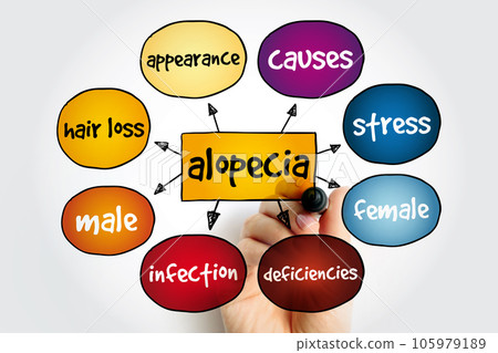 Alopecia mind map, medical concept for presentations and reports Alopecia mind map, medical concept for presentations and reports 105979189