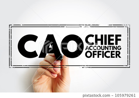 CAO Chief Accounting Officer - highest financial position in the business and manages things like budgets, forecasts, credit, taxes, and insurance, acronym text stamp 105979261