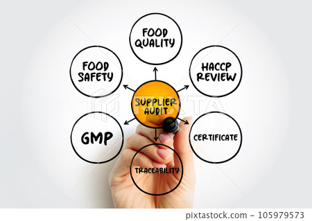 Supplier Audit is a tailor-made programme that assesses a supplier's quality systems, mind map concept for presentations and reports Supplier Audit is a tailor-made programme that assesses a supplier's quality systems, mind map concept for presentations and reports 105979573