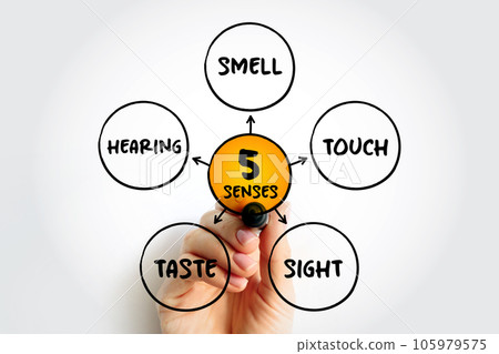 Five basic human senses Five basic human senses 105979575