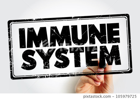 Immune System text stamp, health concept background Immune System text stamp, health concept background 105979725