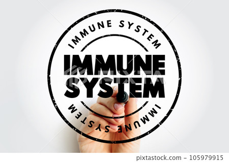 Immune System text stamp, health concept background Immune System text stamp, health concept background 105979915