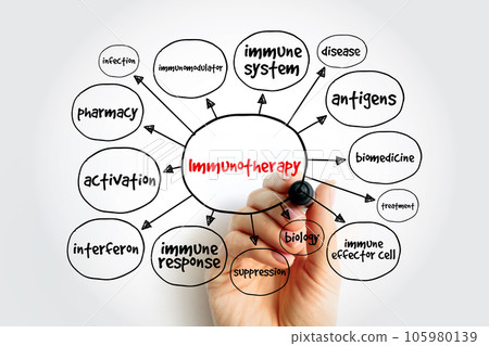 Immunotherapy mind map, concept for presentations and reports Immunotherapy mind map, concept for presentations and reports 105980139
