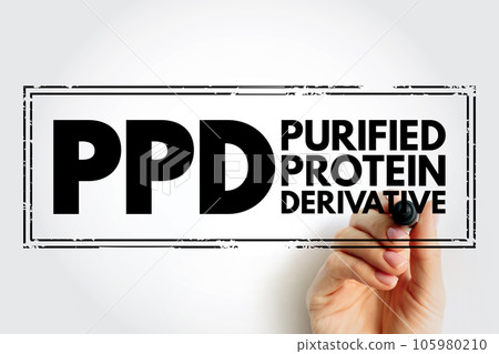 PPD Purified Protein Derivative - test used to detect if you have a tuberculosis infection, acronym text stamp concept background PPD Purified Protein Derivative - test used to detect if you have a tuberculosis infection, acronym text stamp concept background 105980210
