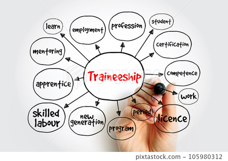 Traineeship mind map, education concept for presentations and reports Traineeship mind map, education concept for presentations and reports 105980312