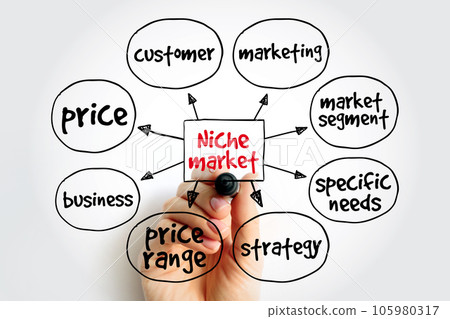 Niche market mind map, business concept for presentations and reports 105980317