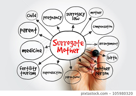 Surrogate mother mind map, concept for presentations and reports Surrogate mother mind map, concept for presentations and reports 105980320