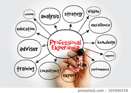 Professional experience mind map, business concept for presentations and reports Professional experience mind map, business concept for presentations and reports 105980359
