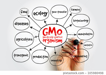 GMO - genetically modified organism mind map, concept for presentations and reports GMO - genetically modified organism mind map, concept for presentations and reports 105980498