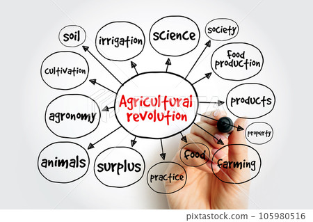 Agricultural revolution mind map, concept for presentations and reports 105980516