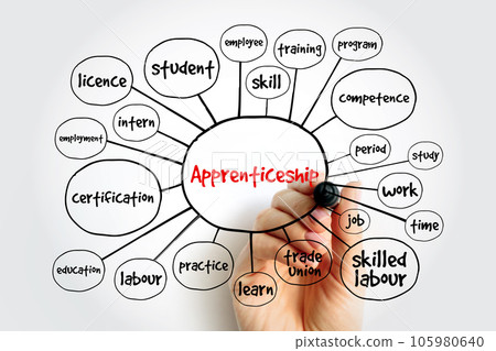 Apprenticeship mind map, concept for presentations and reports 105980640