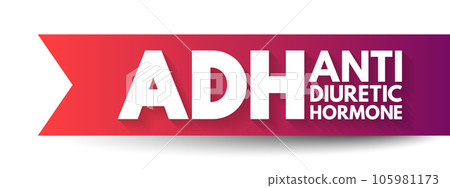 ADH Antidiuretic Hormone - nonapeptide synthesized in the hypothalamus, acronym text concept background 105981173