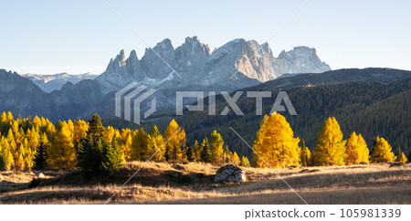 Incredible autumn view at Valfreda valley in Italian Dolomite Alps Incredible autumn view at Valfreda valley in Italian Dolomite Alps 105981339