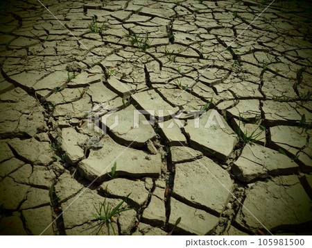 Deep cracks in the land as a symbol of hot climate and drought. Desert and cracked ground. Uneven, swollen ground. Emptiness and death. Ecological and natural theme. Vignetting 105981500